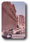 Colonnaded street, Palmyra, Syria