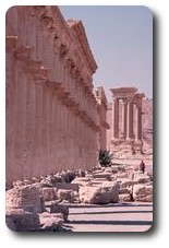 Colonnaded street, Palmyra, Syria