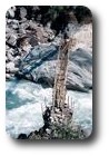 Footbridge near Besisahar on the Annapurna Circuit, Nepal