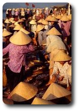Morning fish market at Hoi An, Vietnam
