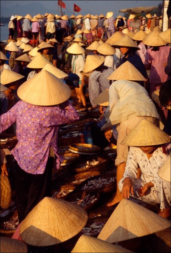 Morning fish market at Hoi An, Vietnam