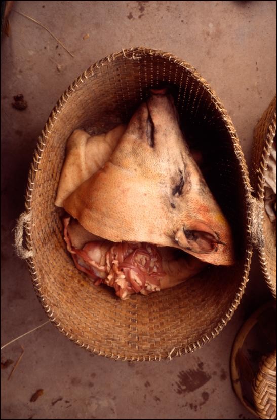Pig’s head at the Muang Sing market, Laos