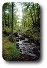 Broadslack Gill, Lake District, England