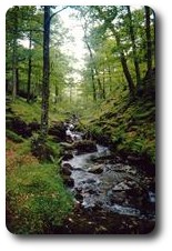 Broadslack Gill, Lake District, England