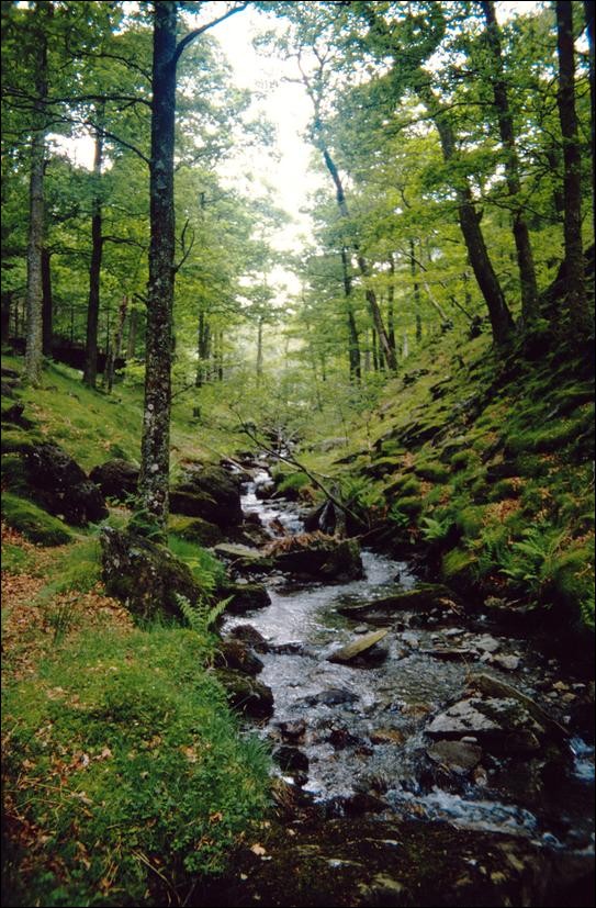 Broadslack Gill, Lake District, England