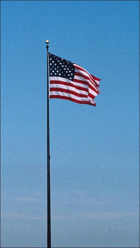The American flag
