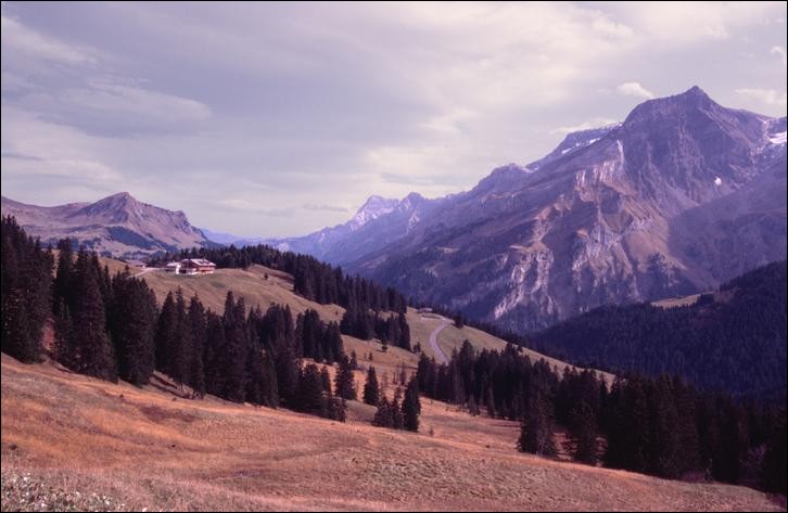 Col du Pillon, near Gstaad, Switzerland