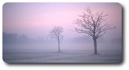 Misty morning at Sefton Park, Liverpool, England